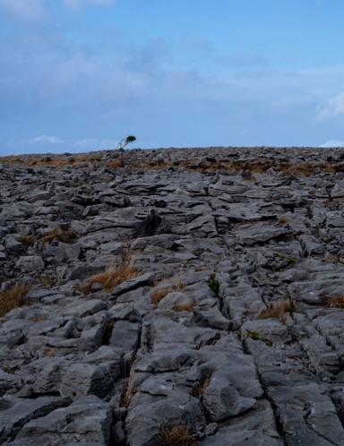 The Burren